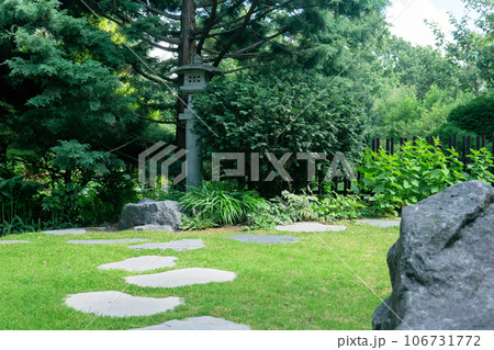 japanese garden landscape with stone lantern under pine tree 106731772