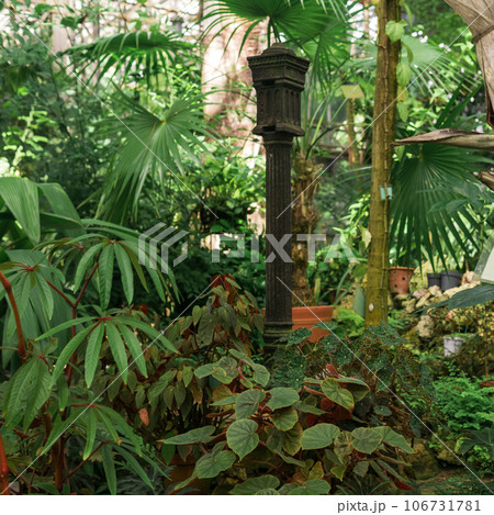 interior of an antique tropical greenhouse with an old cast iron lantern among the plants interior of an antique tropical greenhouse with an old cast iron lantern among the plants 106731781