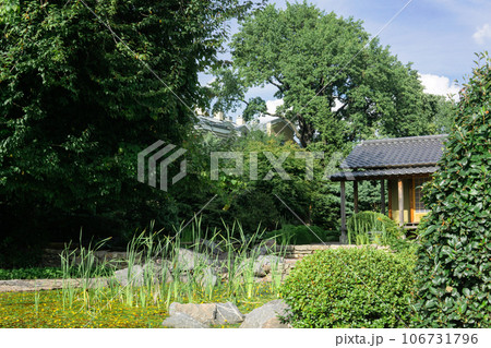 small japanese garden with sedge pond and tea house 106731796