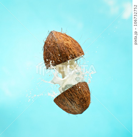 Cracked Coconut with milk splash flying in the air, isolated on blue. Cracked Coconut with milk splash flying in the air, isolated on blue. 106732752