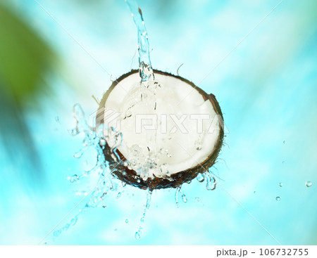 Cracked Coconut with water splash flying in the air, isolated on blue. 106732755