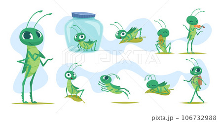 Grasshopper. Colored insects grasshopper jumping in grass exact vector cartoon template 106732988