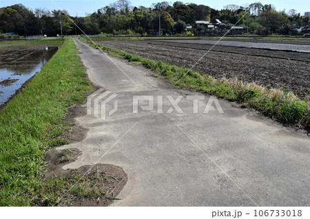 舗装された農道と田園風景 106733018