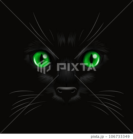 Vector 3d Realistic Green Cats Eye of a Black Cat in the Dark, at Night. Cat Face with Yes, Nose, Whiskers on Black. Cat Closeup Look in the Darkness. Front View Vector 3d Realistic Green Cats Eye of a Black Cat in the Dark, at Night. Cat Face with Yes, Nose, Whiskers on Black. Cat Closeup Look in the Darkness. Front View 106733349