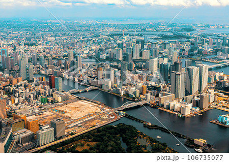 Aerial view of Minato, Tokyo, Japan 106735077