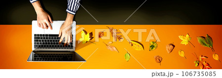 Autumn leaves with person using a laptop computer 106735085