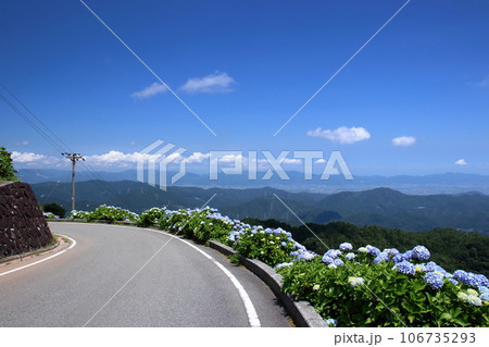 大川原高原　道に沿って咲く紫陽花　（徳島県　佐那河内村） 106735293