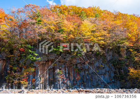 八幡平・松川渓谷の紅葉（松川玄武岩） 106736356