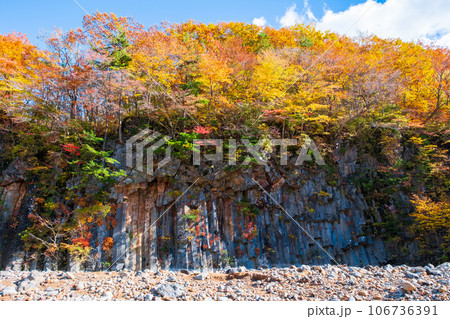 八幡平・松川渓谷の紅葉（松川玄武岩） 106736391