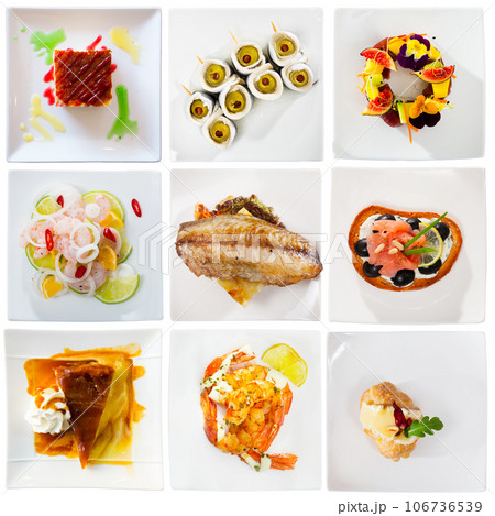 Collage of meals on rectangular plates Collage of meals on rectangular plates 106736539