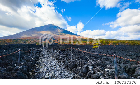 焼走り熔岩流と岩手山(秋) 焼走り熔岩流と岩手山(秋) 106737376