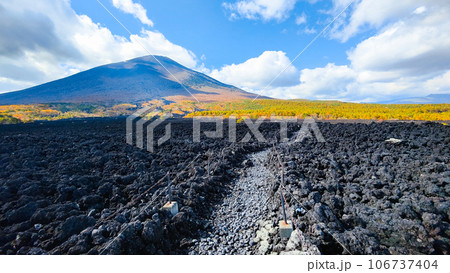 焼走り熔岩流と岩手山(秋) 焼走り熔岩流と岩手山(秋) 106737404