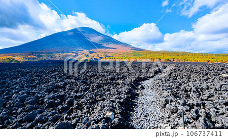 焼走り熔岩流と岩手山(秋) 焼走り熔岩流と岩手山(秋) 106737411