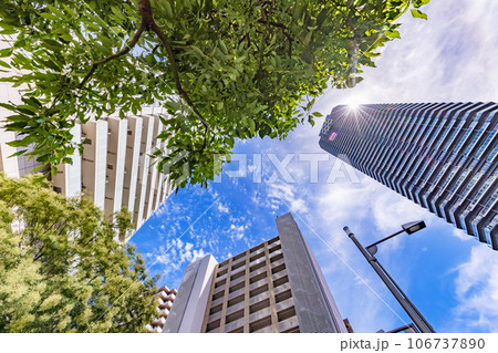 太陽の光が綺麗な東京のビル群 106737890