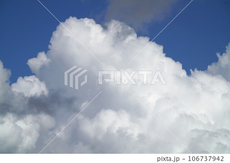 夏雲 106737942
