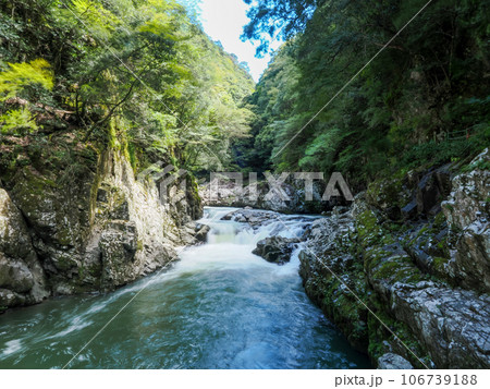 長門峡の風景 106739188