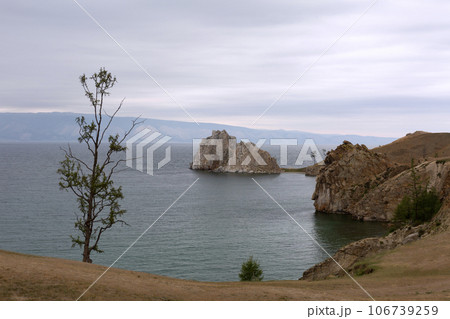 Lonely Larch on Lake Baikal Background Lonely Larch on Lake Baikal Background 106739259
