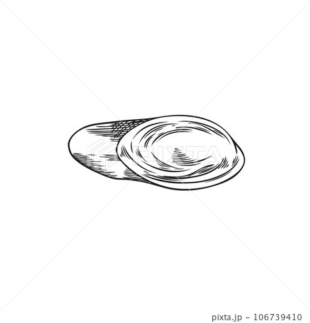 Piece of chopped lemongrass plant, monochrome sketch vector illustration isolated on white background. Piece of chopped lemongrass plant, monochrome sketch vector illustration isolated on white background. 106739410
