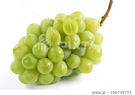 ぶどう（黄玉） 106739755