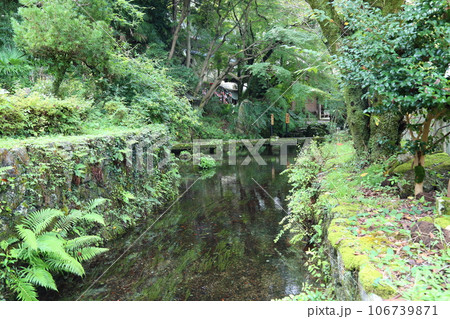 中山道 醒ヶ井宿〈 居醒の清水（平成の名水百選）〉 【滋賀県米原市】 106739871