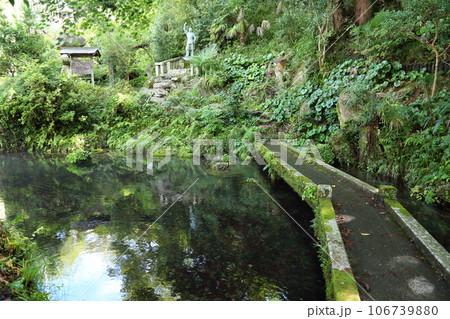 中山道 醒ヶ井宿〈 居醒の清水(平成の名水百選)〉 【滋賀県米原市】 中山道 醒ヶ井宿〈 居醒の清水(平成の名水百選)〉 【滋賀県米原市】 106739880