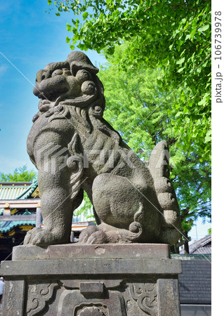 牛嶋神社の狛犬(東京都墨田区向島) 牛嶋神社の狛犬(東京都墨田区向島) 106739978