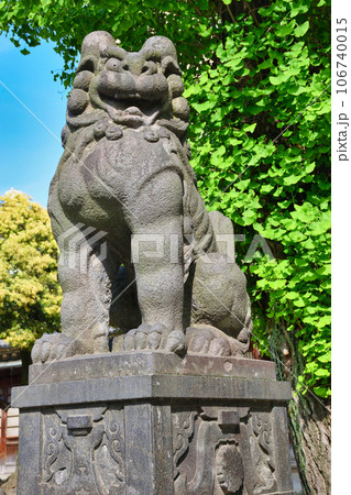 牛嶋神社の狛犬(東京都墨田区向島) 牛嶋神社の狛犬(東京都墨田区向島) 106740015