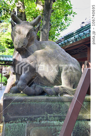 牛嶋神社の狛牛（東京都墨田区向島） 106740695