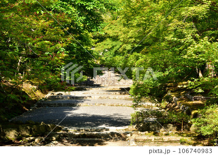 新緑の京都嵐山 106740983