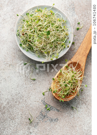 Microgreens grown in a jar. Microgreens grown in a jar. 106741480