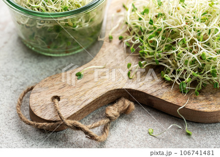 Microgreens grown in a jar. 106741481