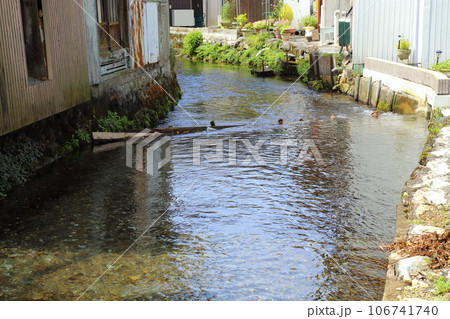 中山道 醒ヶ井宿〈 地蔵川と町並み 〉 【滋賀県米原市】 中山道 醒ヶ井宿〈 地蔵川と町並み 〉 【滋賀県米原市】 106741740