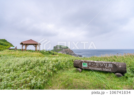 ポンモシリ島 富士野園地 ポンモシリ島 富士野園地 106741834