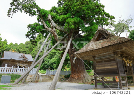 隠岐の島 玉若酢命神社 拝殿 隠岐の島 玉若酢命神社 拝殿 106742221