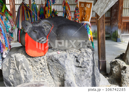 牛嶋神社の撫牛（東京都墨田区向島） 106742285