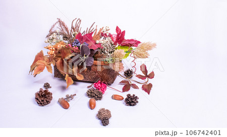 竹かごからあふれる色づいた葉と木の実 2 竹かごからあふれる色づいた葉と木の実 2 106742401