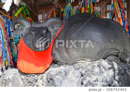 牛嶋神社の撫牛（東京都墨田区向島） 106742403