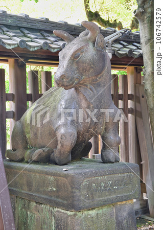 牛嶋神社の狛牛(東京都墨田区向島) 牛嶋神社の狛牛(東京都墨田区向島) 106742579