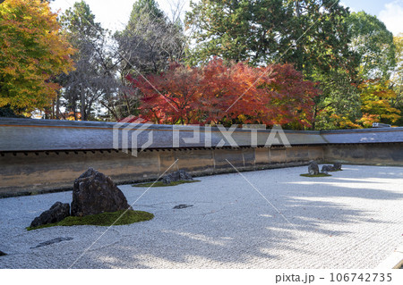 紅葉の龍安寺石庭 紅葉の龍安寺石庭 106742735