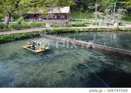 滋賀県醒井養鱒場〈 日本最古・日本の渓流魚の里〉 【滋賀県米原市】 106743500