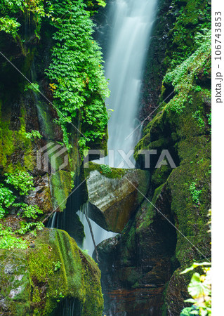(群馬県)初秋の照葉峡・大沢大瀑 (群馬県)初秋の照葉峡・大沢大瀑 106743853