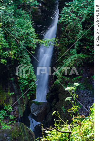 (群馬県)初秋の照葉峡・大沢大瀑 (群馬県)初秋の照葉峡・大沢大瀑 106743859