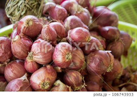 Shallots. Fresh purple shallots on basket. 106743933