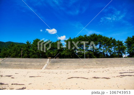 海水浴場の松林 106743953