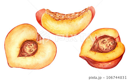 Fresh half red peach watercolor illustration isolated on white. Hand drawn slice, piece orange fruit nectarine. Painting food illustration, design element for package, label 106744831