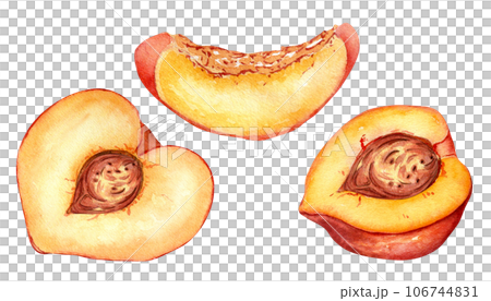 Fresh half red peach watercolor illustration isolated on white. Hand drawn slice, piece orange fruit nectarine. Painting food illustration, design element for package, label 106744831