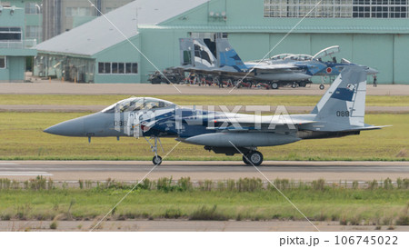 航空自衛隊飛行教導群F-15DJイーグルのタキシング 航空自衛隊飛行教導群F-15DJイーグルのタキシング 106745022