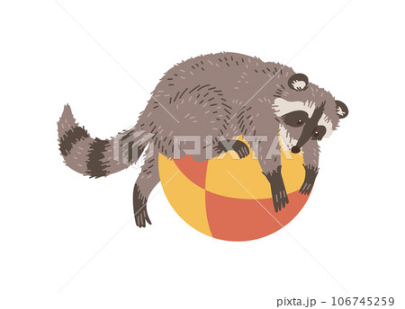 Vector funny racoon lies on a big ball, baby animal playing, hand drawn cartoon illustration isolated on white background 106745259