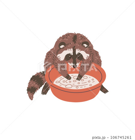 Cute raccoon, basin with water flat style, vector illustration 106745261