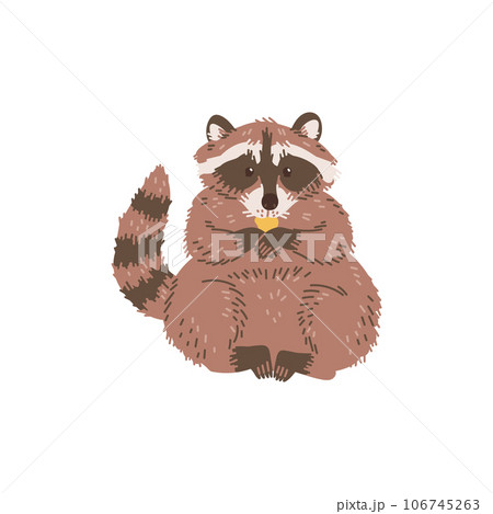 Raccoon sitting on paws and eating, flat vector illustration isolated. 106745263